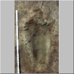 px85b-6-2 (IIS,-1).jpg